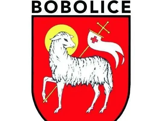 Studenci UMK zakończyli III etap prac konserwatorskich w kościele w Chmielnie