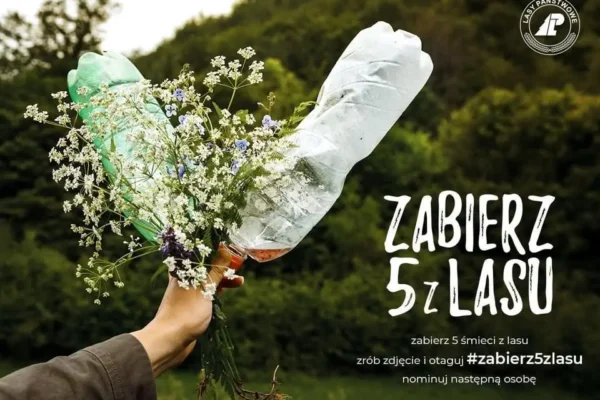 Nadleśnictwo Bobolice zaprasza na Noc Gotów – stoisko edukacyjne pełne leśnych atrakcji
