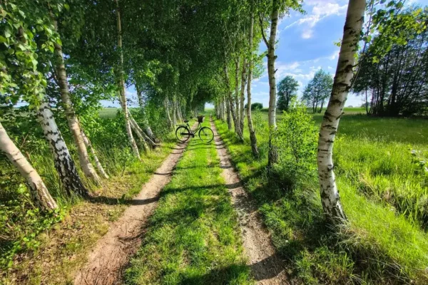 Rowerowa pętla Łazy – Osieki – Karnieszewice – Sianów: 34 km atrakcji w Gminie Sianów