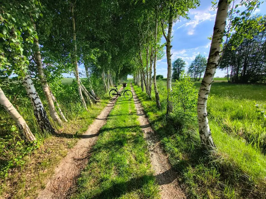 Rowerowa pętla Łazy – Osieki – Karnieszewice – Sianów: 34 km atrakcji w Gminie Sianów