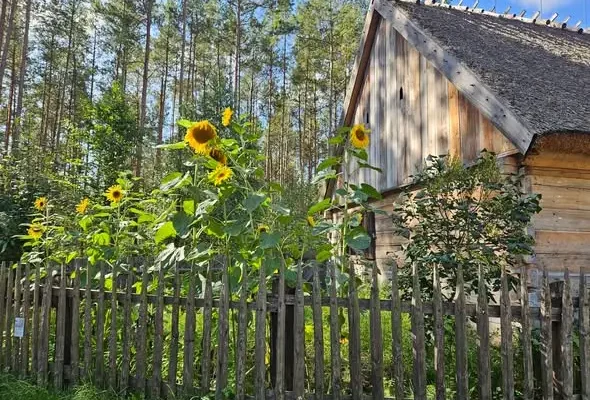 Seniorzy z gminy odwiedzili Kaszubski Park Etnograficzny we Wdzydzach