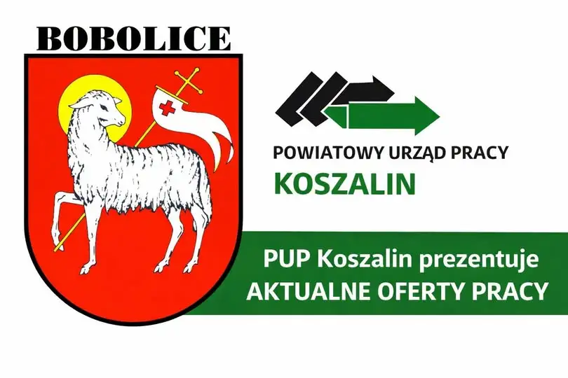 PUP Koszalin: Aktualne oferty pracy na 9 września 2026 – przegląd stanowisk
