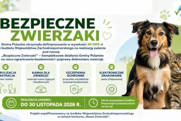 Gmina Polanów z 30 tys. zł na walkę z bezdomnością zwierząt