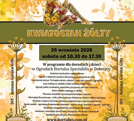 Kwiatostan Żółty w Ogrodach Hortulus Spectabilis – jesienne święto w Dobrzycy