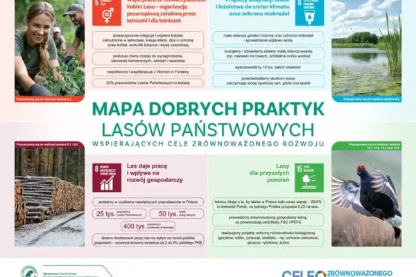Lasy Państwowe w Europejskim Tygodniu Zrównoważonego Rozwoju – retencja wody i ochrona klimatu