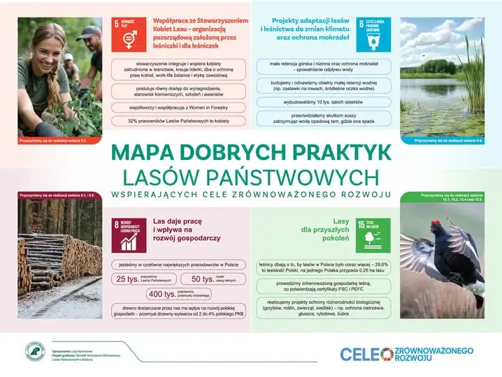 Lasy Państwowe w Europejskim Tygodniu Zrównoważonego Rozwoju – retencja wody i ochrona klimatu