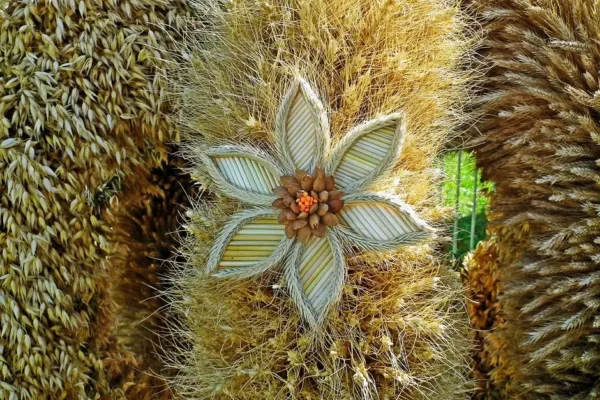 Wieniec dożynkowy z Iwięcina najlepszy w Gminie Sianów