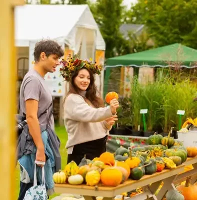Kwiatostan Żółty – Dary Jesieni w Ogrodach Hortulus. Farma Dyniowa czynna do 15 listopada