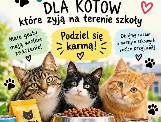 Szkoła Podstawowa w Darginiu organizuje zbiórkę karmy dla kotów