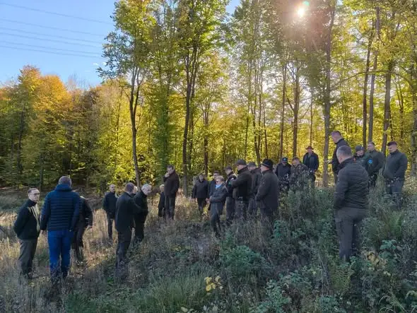Polsko-szwedzkie szkolenie leśników w Nadleśnictwie Polanów