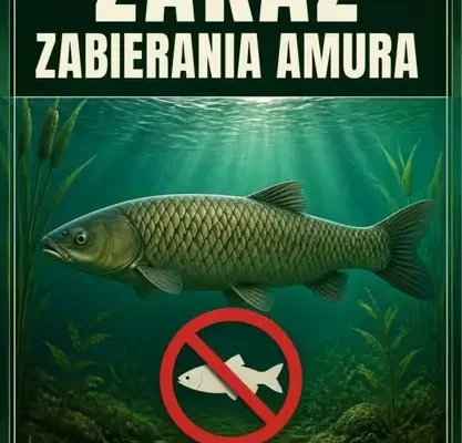 Zarybienie Zalewu Polanowskiego amurem i zakaz zabierania ryb do końca roku